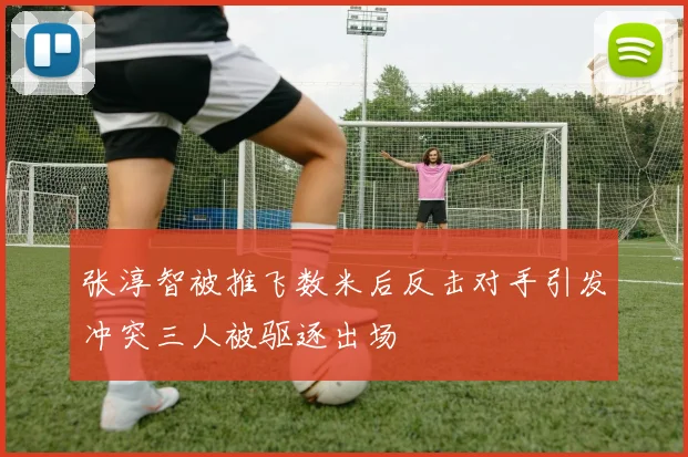 张淳智被推飞数米后反击对手引发冲突三人被驱逐出场
