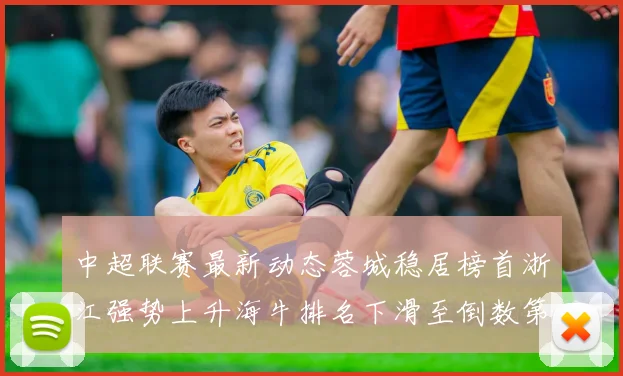 中超联赛最新动态蓉城稳居榜首浙江强势上升海牛排名下滑至倒数第三